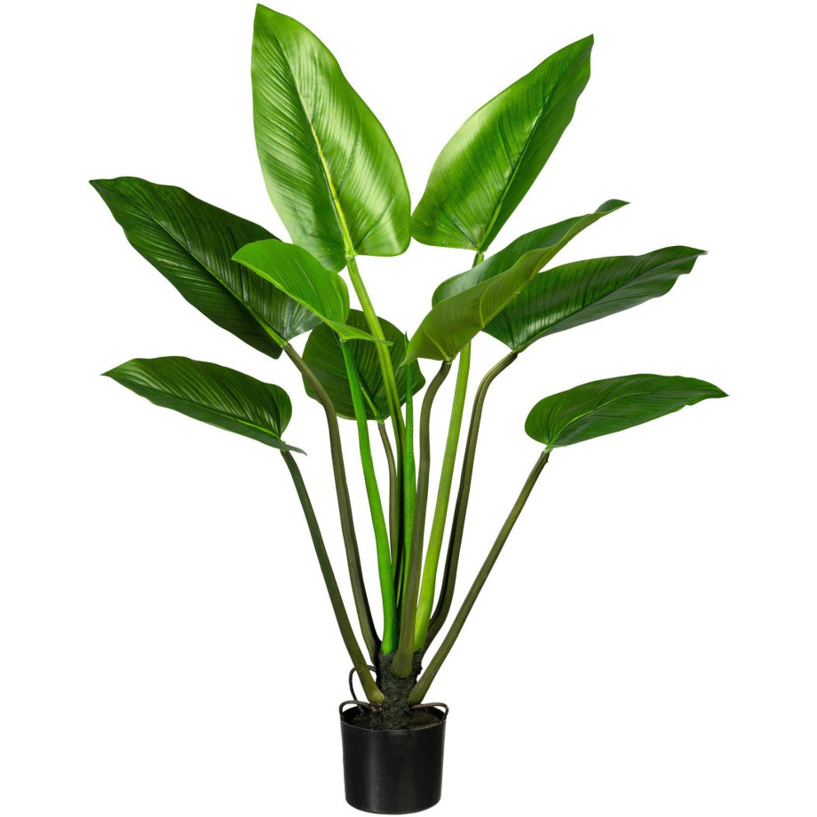 Creativ green Kunst-potplanten Philodendron (1 stuk) afbeelding 1
