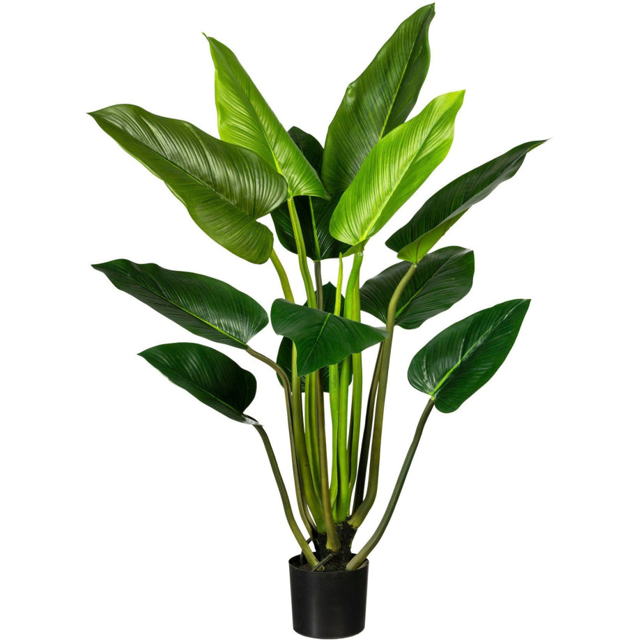 Creativ green Kunst-potplanten Philodendron (1 stuk) afbeelding 1