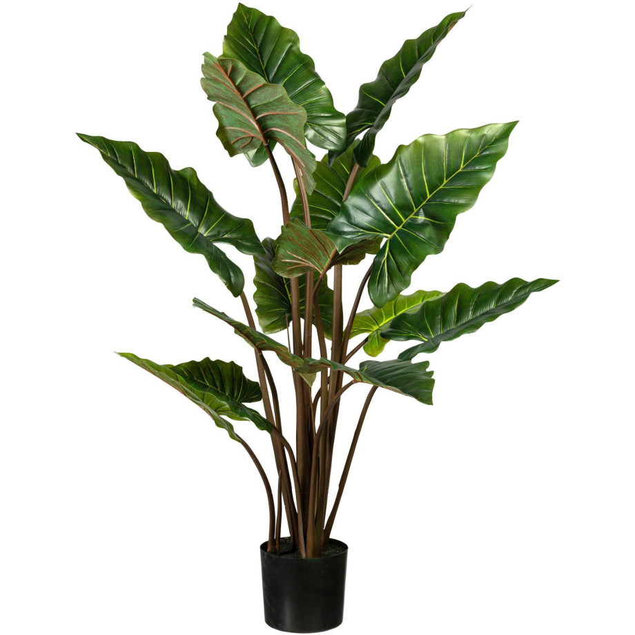 Creativ green Kunst-potplanten Taroplant (1 stuk) afbeelding 1