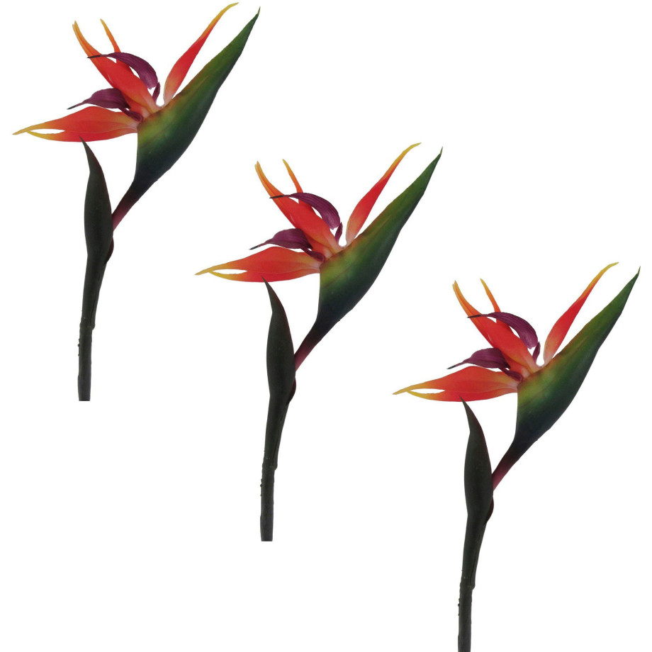 Creativ green Kunstbloem Strelitzia (3 stuks) afbeelding 1