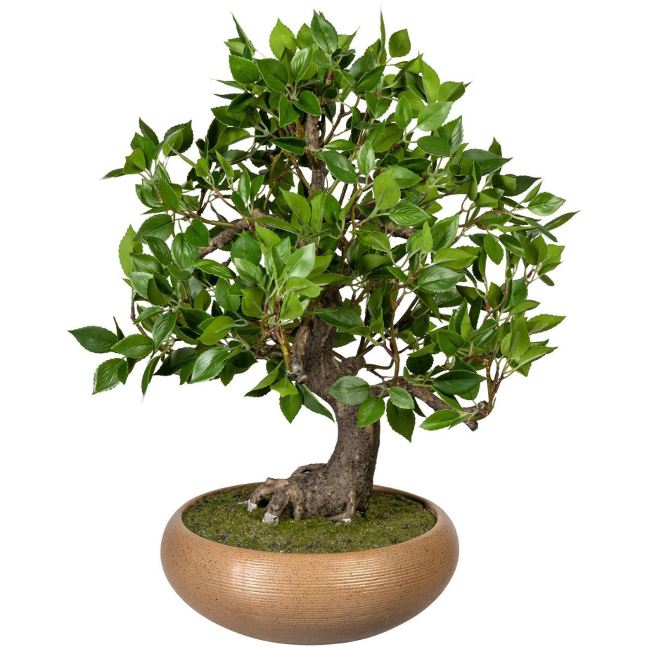 Creativ green Kunstbonsai Bonsai ficus in keramische kom (1 stuk) afbeelding 1