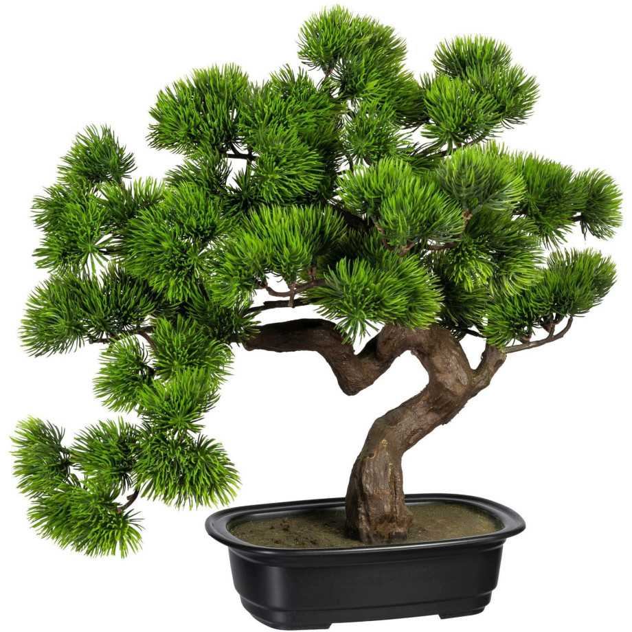 Creativ green Kunstbonsai Bonsai grenen (1 stuk) afbeelding 1