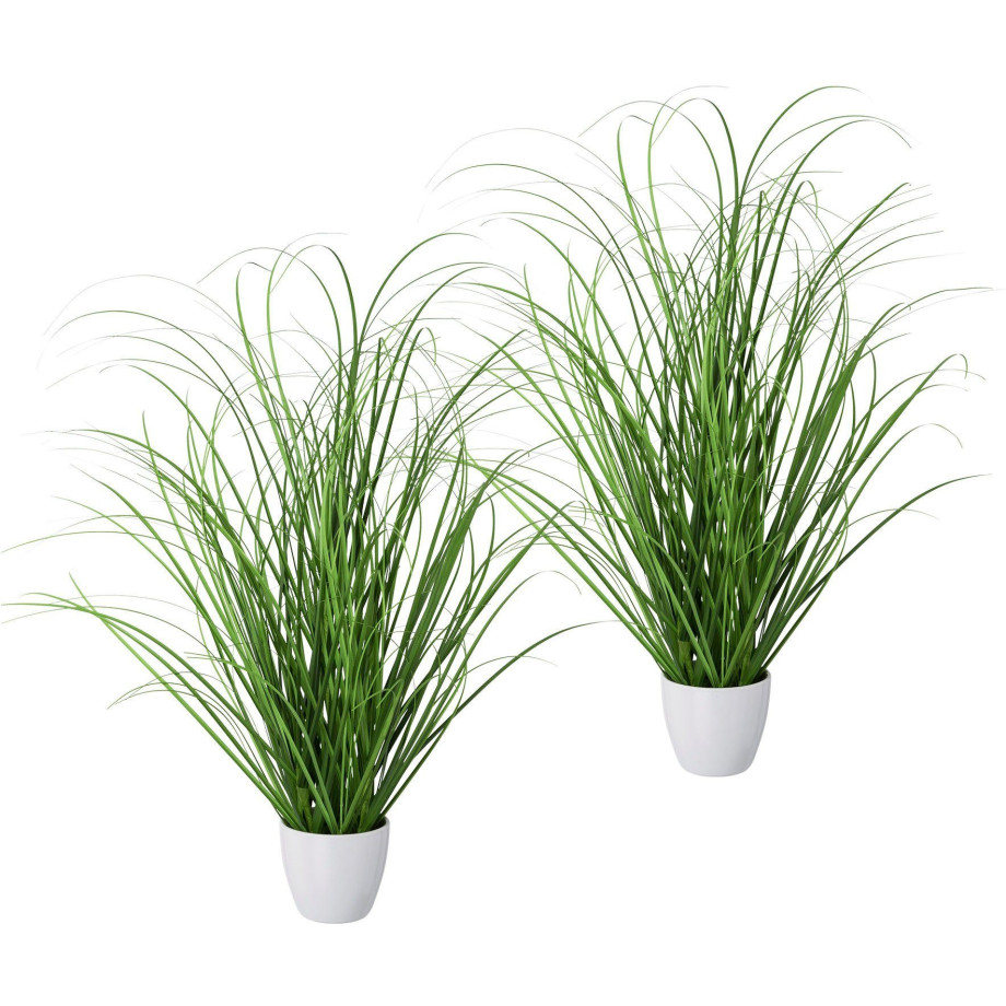 Creativ green Kunstgras Grasmix set van 2, in een decoratieve plastic pot (2 stuks) afbeelding 1