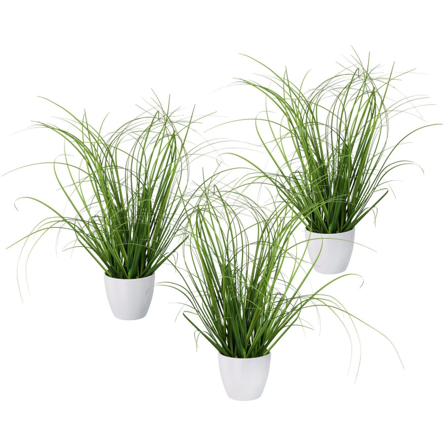 Creativ green Kunstgras Grasmix set van 3, in een decoratieve plastic pot (3 stuks) afbeelding 1