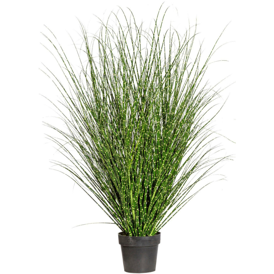 Creativ green Kunstgras Miscanthus Zebrinus (1 stuk) afbeelding 1