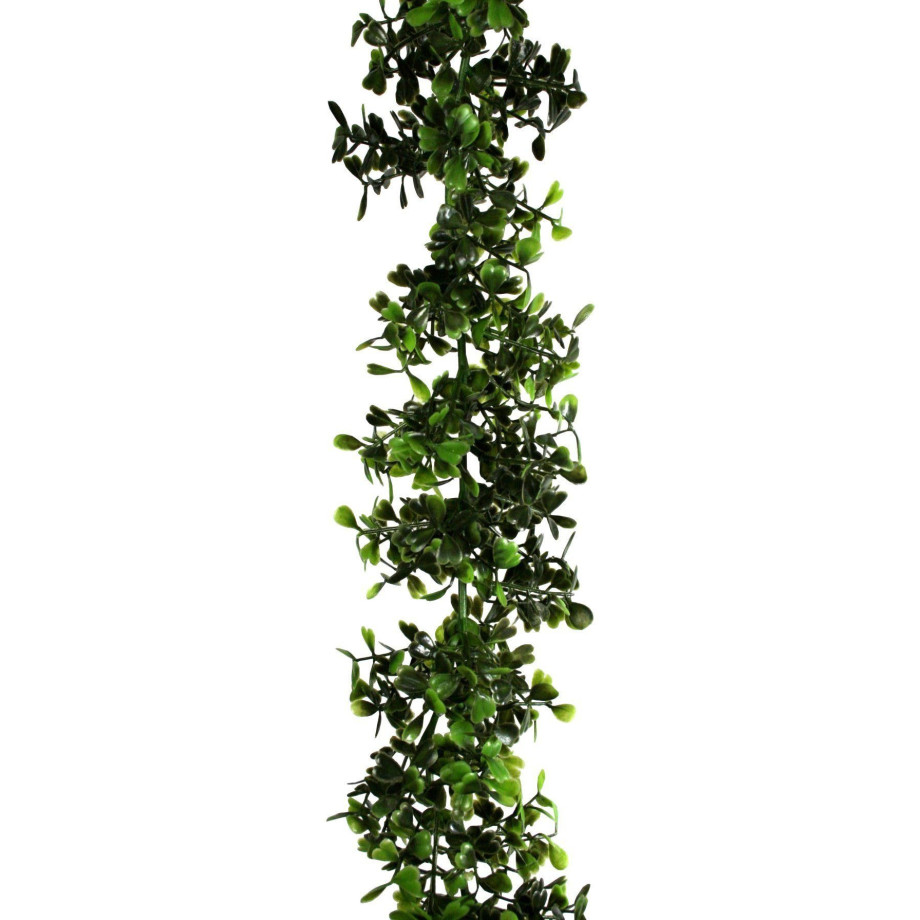 Creativ green Kunstguirlande Buxus-guirlande (1 stuk) afbeelding 1