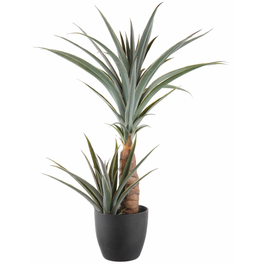 Creativ green Kunstpalm Agave (1 stuk) afbeelding 1