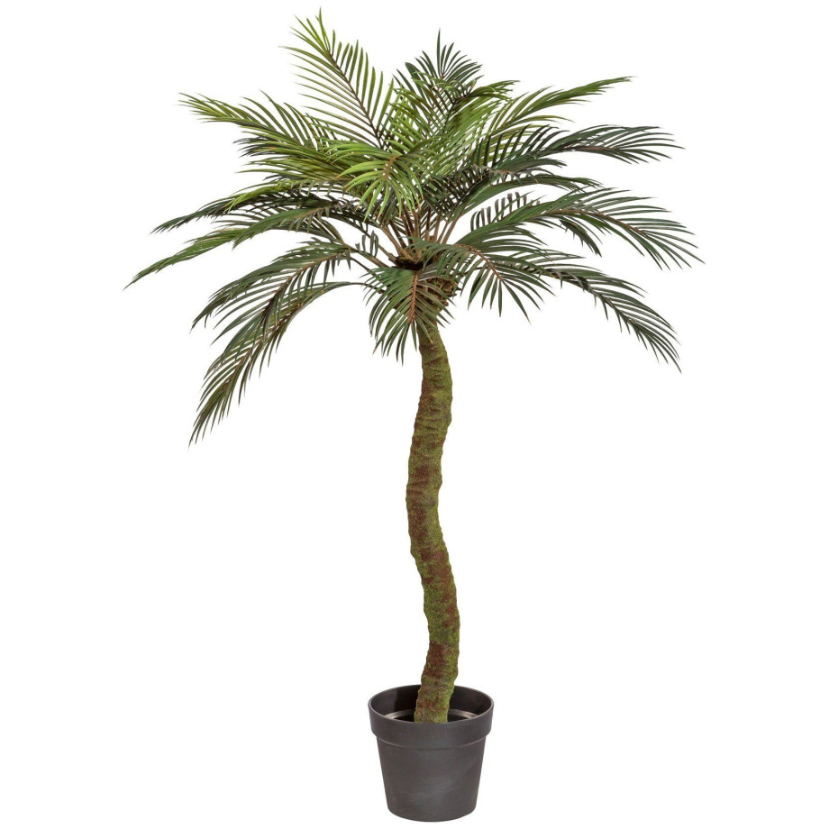 Creativ green Kunstpalm Sagopalm in een plastic pot (1 stuk) afbeelding 1