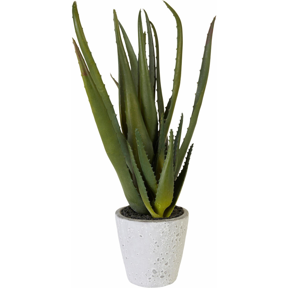 Creativ green Kunstplant Aloe (1 stuk) afbeelding 1