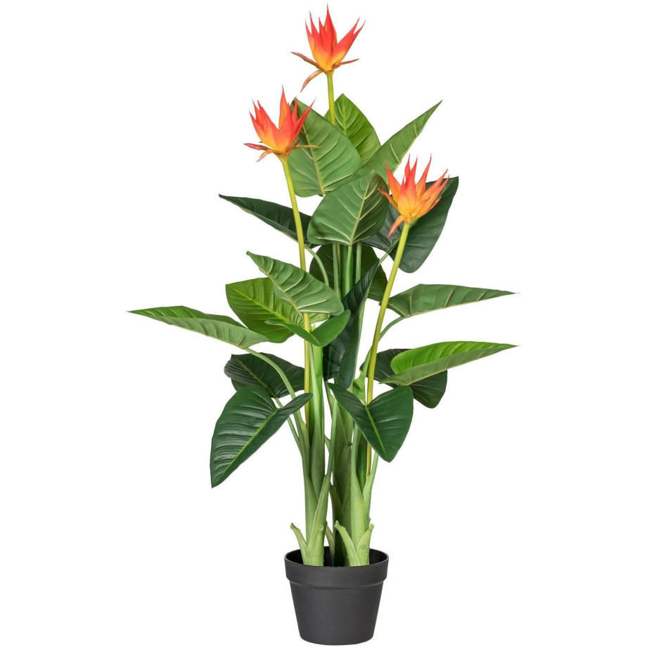 Creativ green Kunstplant Guzmania (1 stuk) afbeelding 1