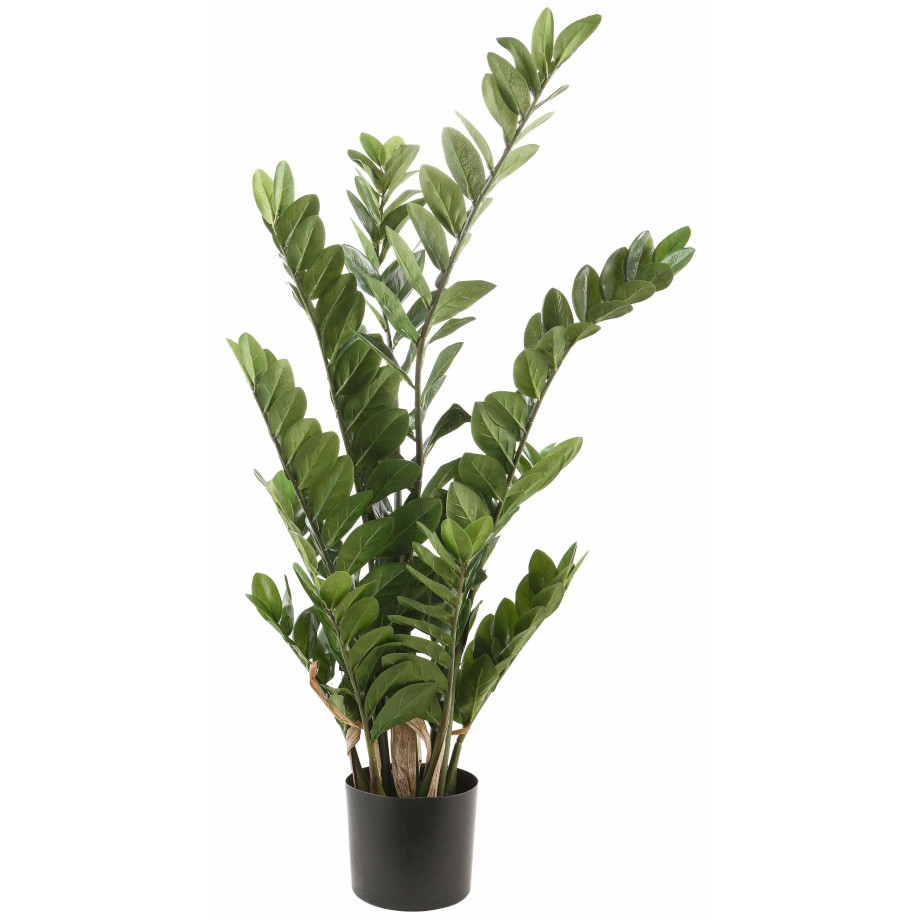 Creativ green Kunstplant Zamifolia (1 stuk) afbeelding 1