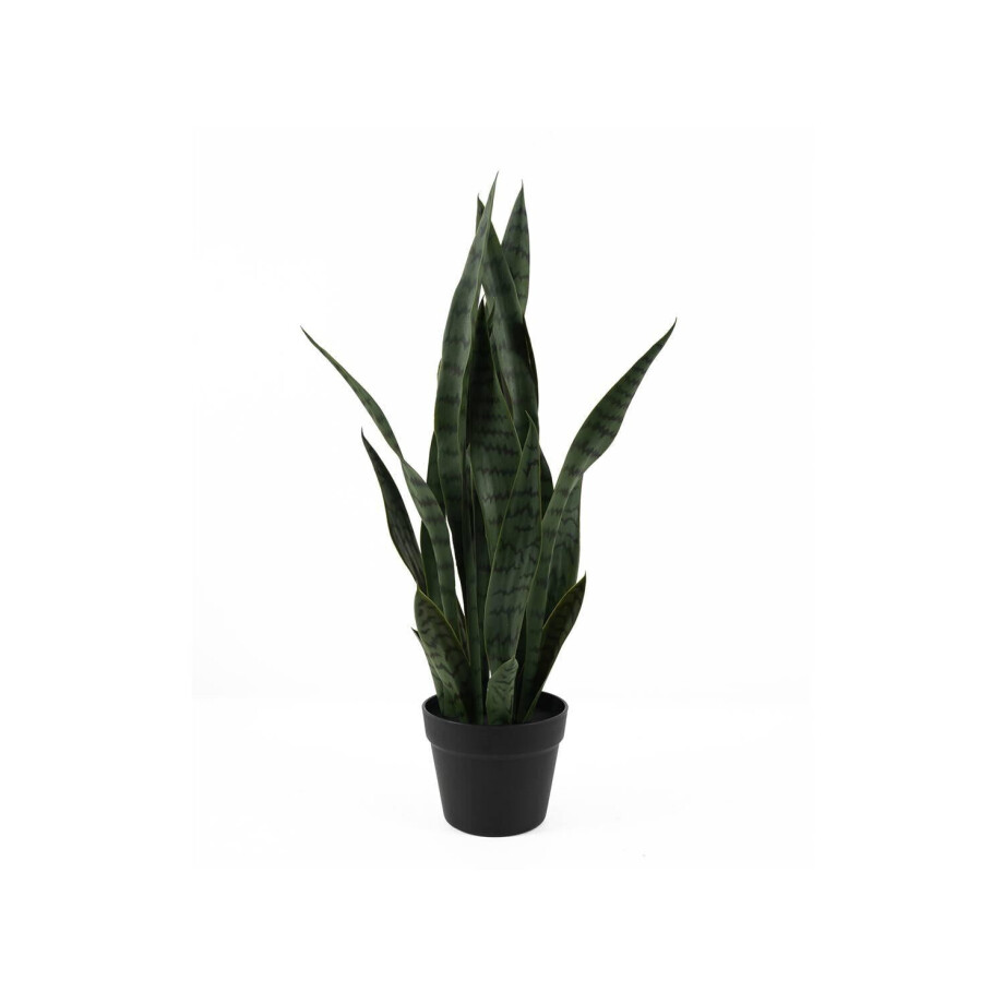 Kunstplant Sansevieria | Present Time afbeelding 1