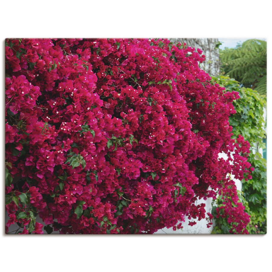 Artland Artprint op linnen Bloemen gespannen op een spieraam afbeelding 1