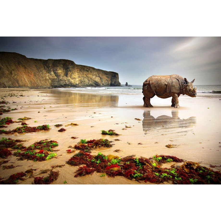 Papermoon Fotobehang Strand Rino Vliesbehang, eersteklas digitale print afbeelding 1