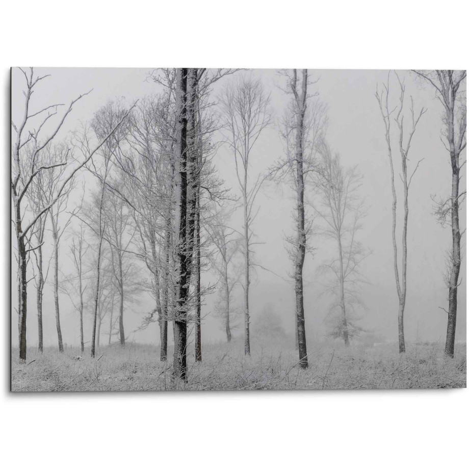 Reinders! Artprint Aluminium artprint stilleven natuur - zwart/wit - bos - bomen afbeelding 1