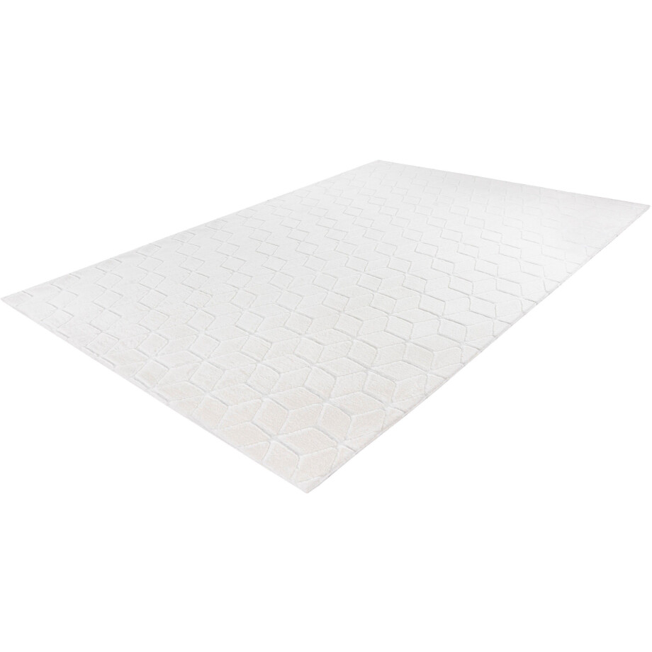 calo-deluxe Vloerkleed Jardan-1000 bijzonder zacht door microvezel, woonkamer afbeelding 1