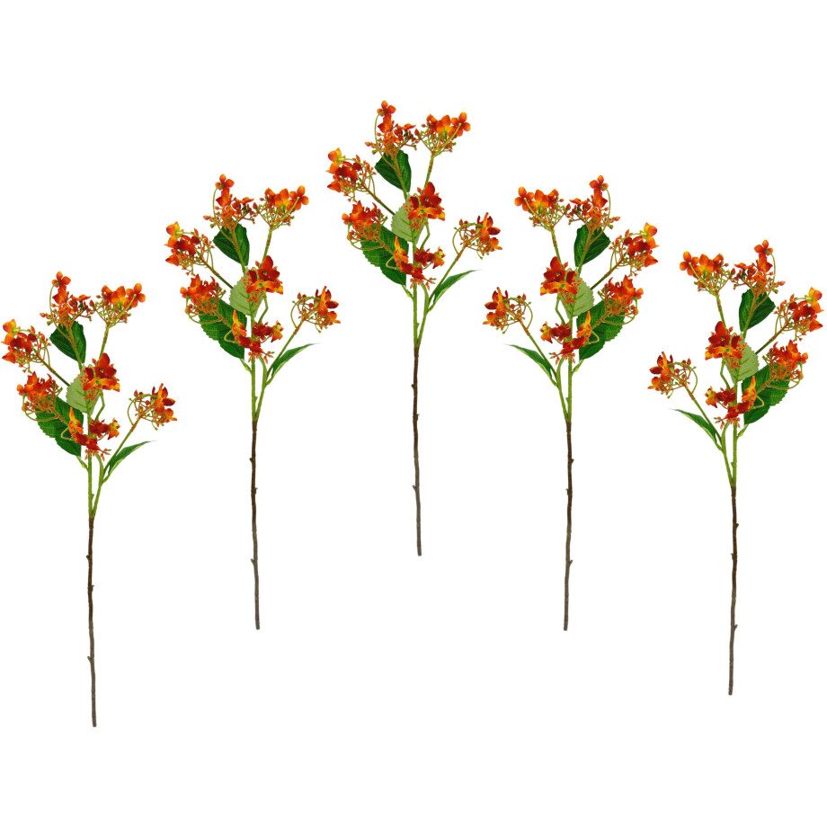 I.GE.A. Kunstbloem Bloementak set van 5 kunsttak, kunstplant, deco-tak (5 stuks) afbeelding 1