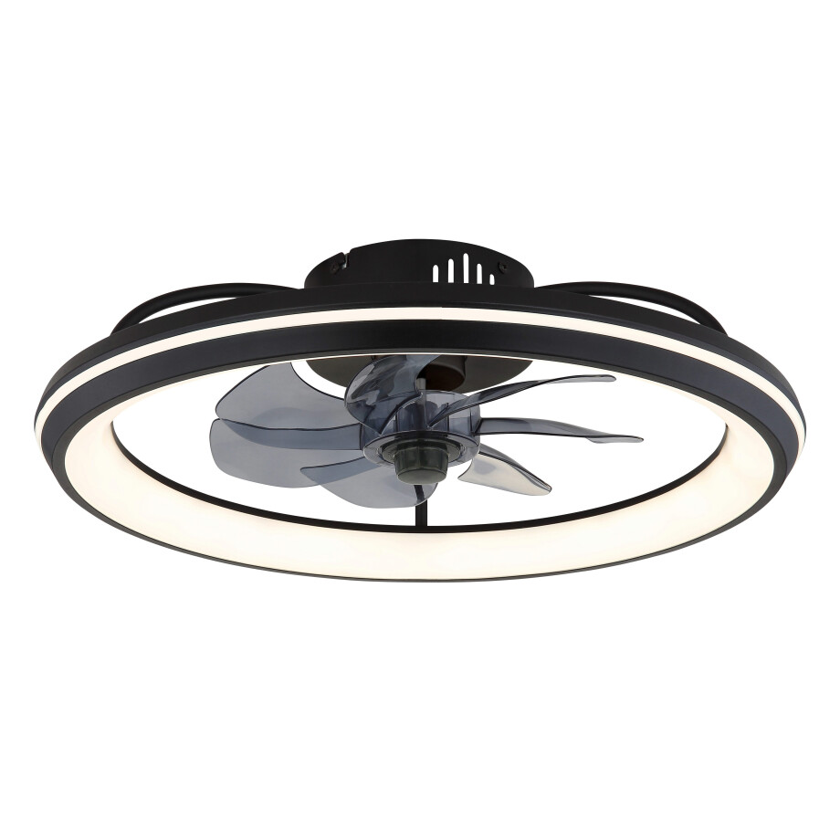 Globo Lightning Plafondlamp CELESTE plafondventilator Mat zwart metaal, koudwit, neutraalwit, warmwit, plafondlamp (1 stuk) afbeelding 
