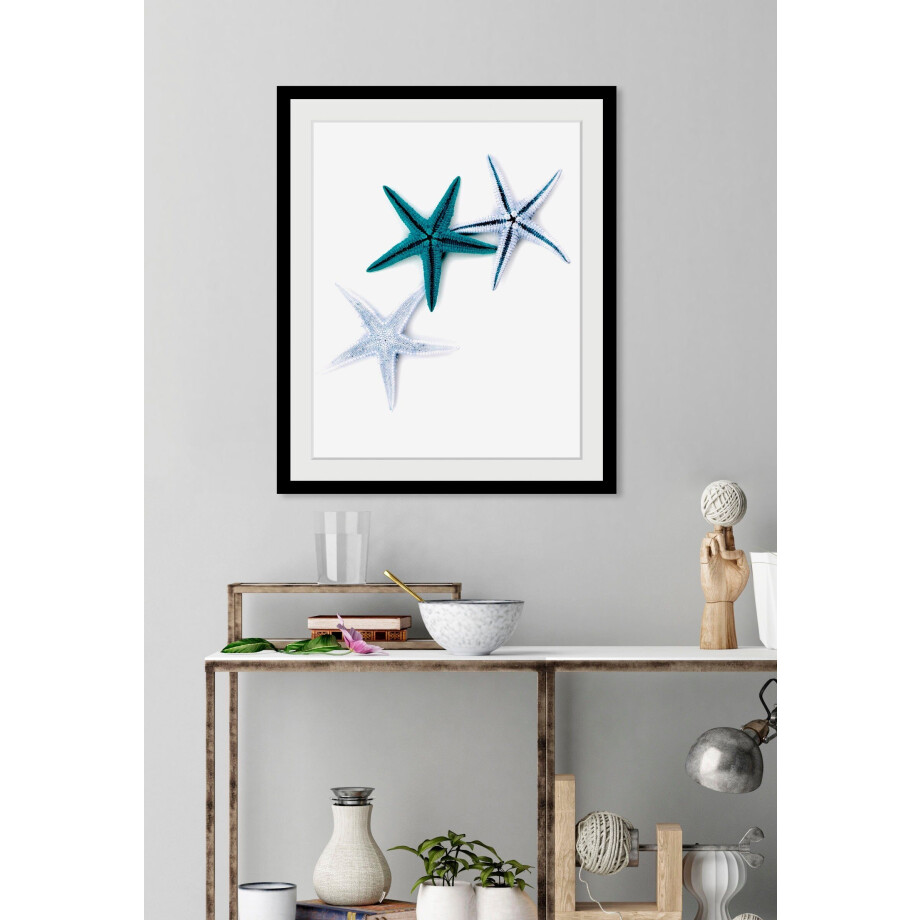 Artland Artprint Kikkerpakt een plantenstengel vast als artprint van aluminium, artprint voor buiten, artprint op linnen in verschillende maten afbeelding 1