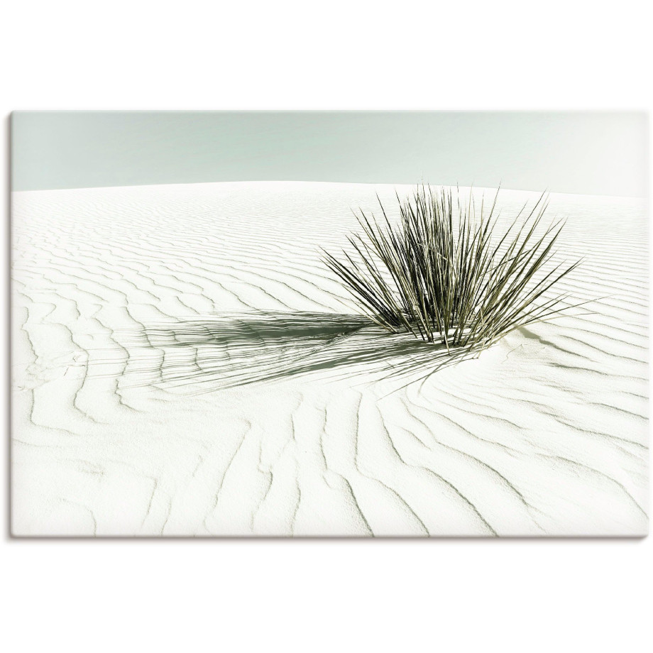 Artland Artprint Duinen, wit zand vintage als artprint van aluminium, artprint voor buiten, artprint op linnen, poster, muursticker afbeelding 1