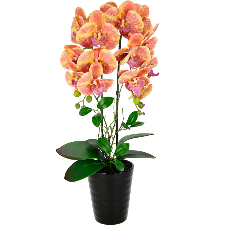 I.GE.A. Kunstbloem Orchidee In pot phalaenopsis orchidee phalaenopsis met bloempot bruiloft afbeelding 1