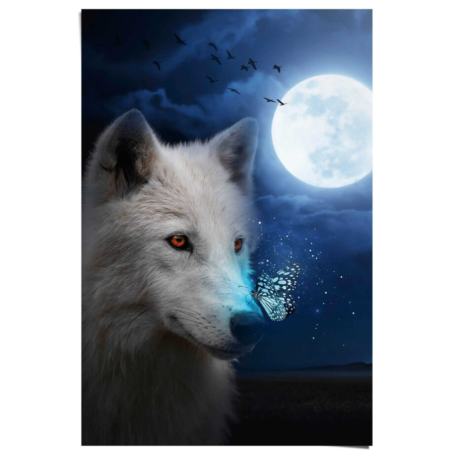 Reinders! Poster Witte wolf afbeelding 1