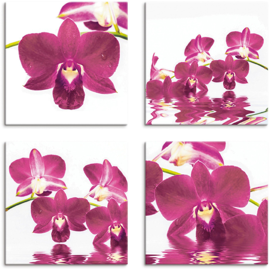 Artland Artprint op linnen Vlinderorchidee set van 4, verschillende maten (4-delig) afbeelding 1