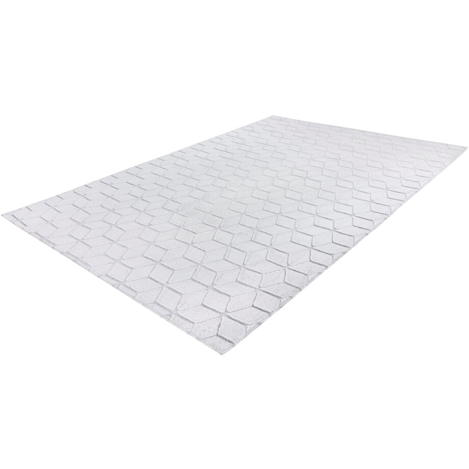 calo-deluxe Vloerkleed Jardan-1000 bijzonder zacht door microvezel, woonkamer afbeelding 1