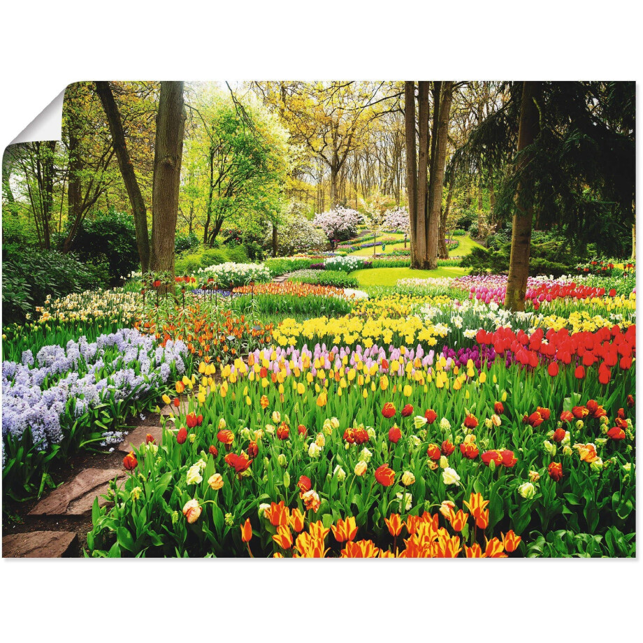 Artland Artprint Tulpen tuin voorjaar als artprint van aluminium, artprint voor buiten, artprint op linnen, poster, muursticker afbeelding 1