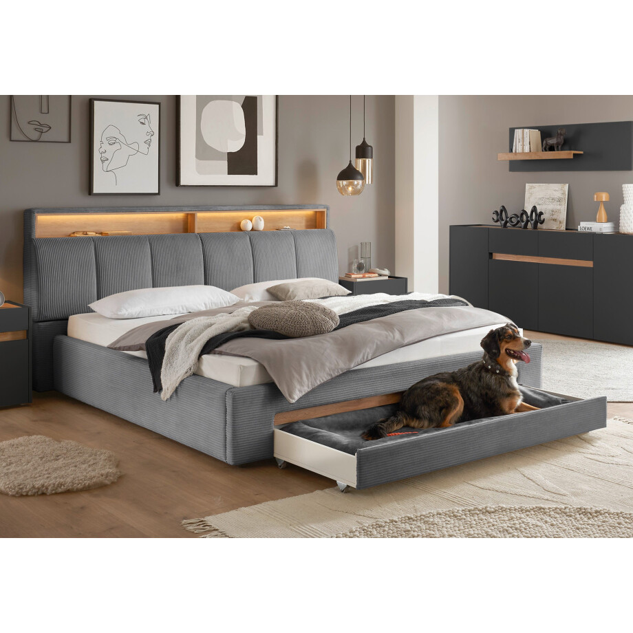 INOSIGN Gestoffeerd bed CiTY/GiRON,, gepolsterd opbergbed, met LED-verlichting Bedkisten met hondenbed of als opbergruimte, opklapbare hoofdeinden afbeelding 1