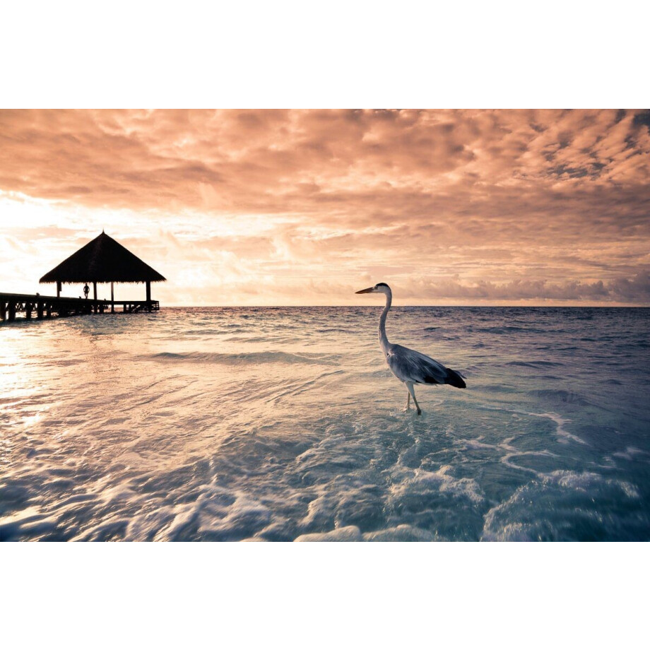 Papermoon Fotobehang Flamingo tropical beach Vliesbehang, eersteklas digitale print afbeelding 1