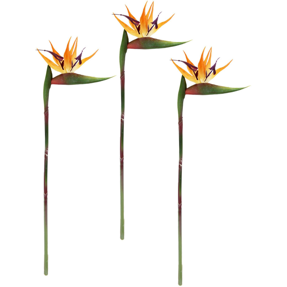 I.GE.A. Kunstbloem strelitzie paradijsvogelbloem exotische decoratieve tak (3 stuks) afbeelding 1