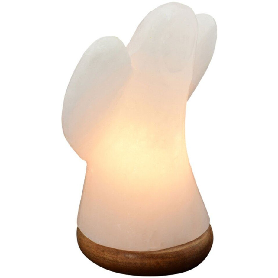HIMALAYA SALT DREAMS Zoutkristal-tafellamp Engel Met de hand gemaakt van zoutkristal - iedere steen uniek, H: ca.19 cm (1 stuk) afbeelding 1