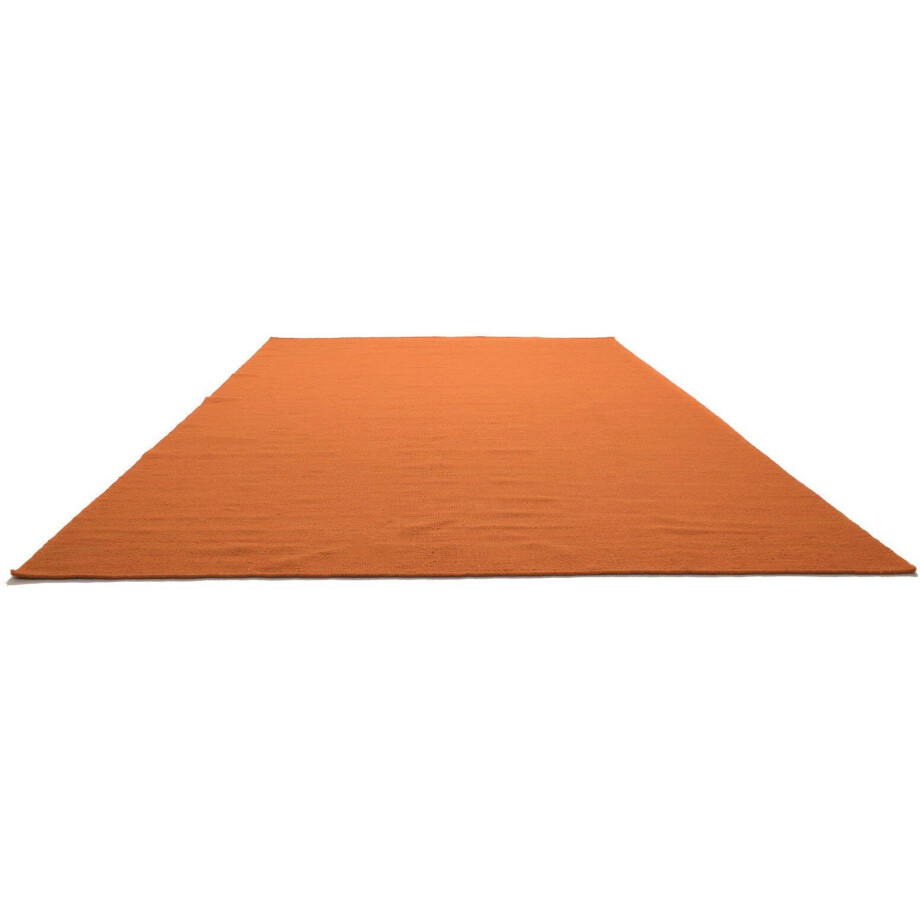 morgenland Wollen kleed KELIM FANCY UNI zuivere wol, keerbaar, uni, woonkamer afbeelding 1