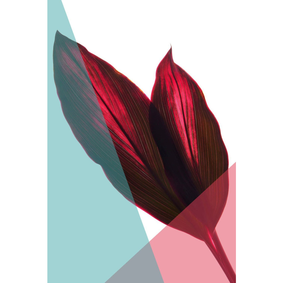 queence Artprint op acrylglas Bladeren Fine Art-print in galeriekwaliteit afbeelding 1