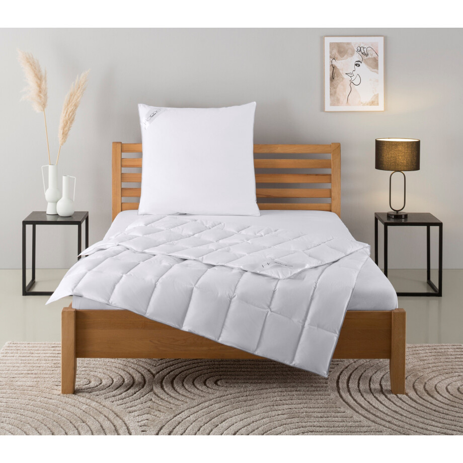 Home affaire Donzen dekbed + hoofdkussen TAMINS, dekbed 135x200 cm en 155x220 cm, 2-delig. Set met kussen 40 x 80 cm, 80 x 80 cm, zomer, winter, Made in Germany (voordeelset) afbeelding 1