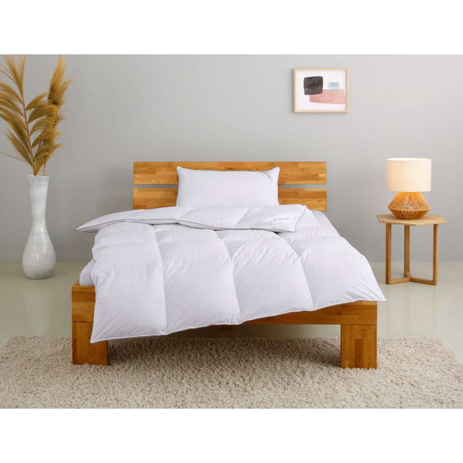 Home affaire Donzen dekbed + hoofdkussen TAMINS, dekbed 135x200 cm en 155x220 cm, 2-delig. Set met kussen 40 x 80 cm, 80 x 80 cm, zomer, winter, Made in Germany (voordeelset) afbeelding 1