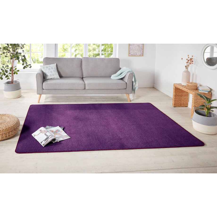 SCHÖNER WOHNEN-KOLLEKTION Hoogpolig vloerkleed Heaven bijzonder zacht door microvezel, woonkamer afbeelding 1