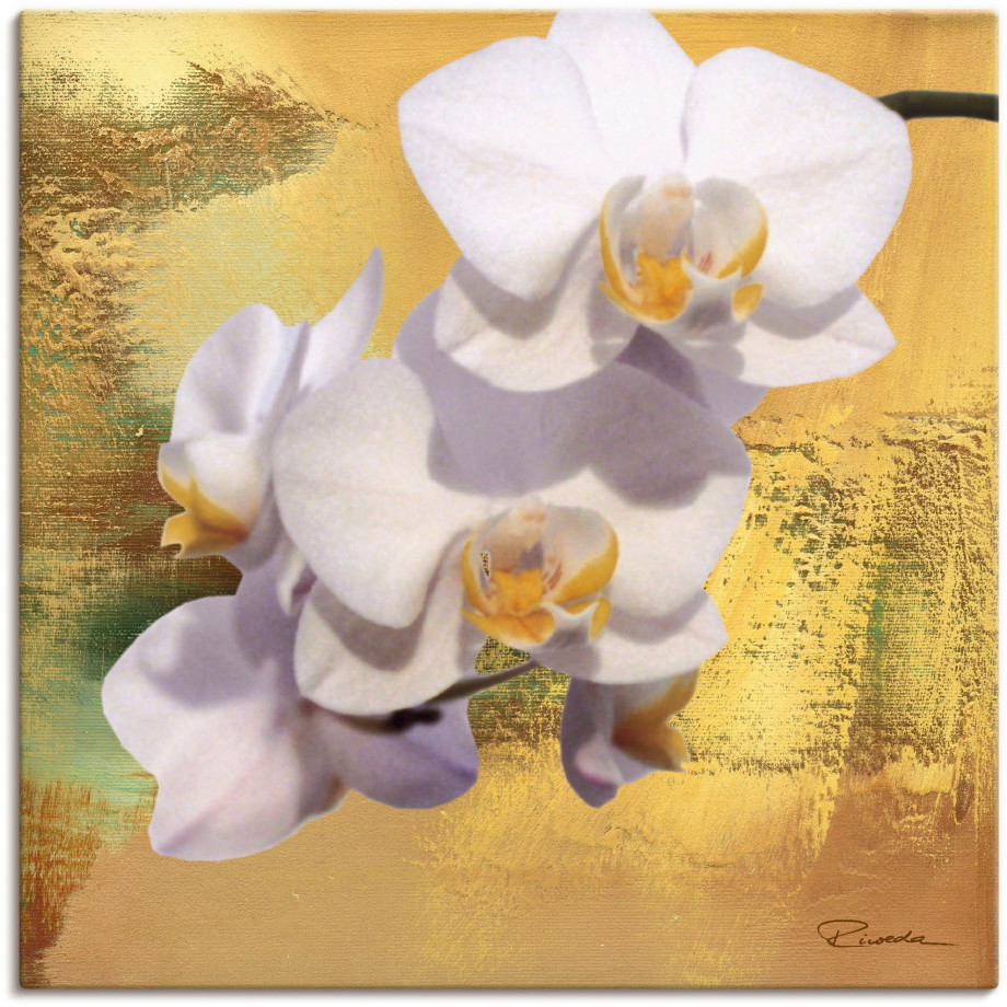 Artland Artprint op linnen Witte orchidee II gespannen op een spieraam afbeelding 1