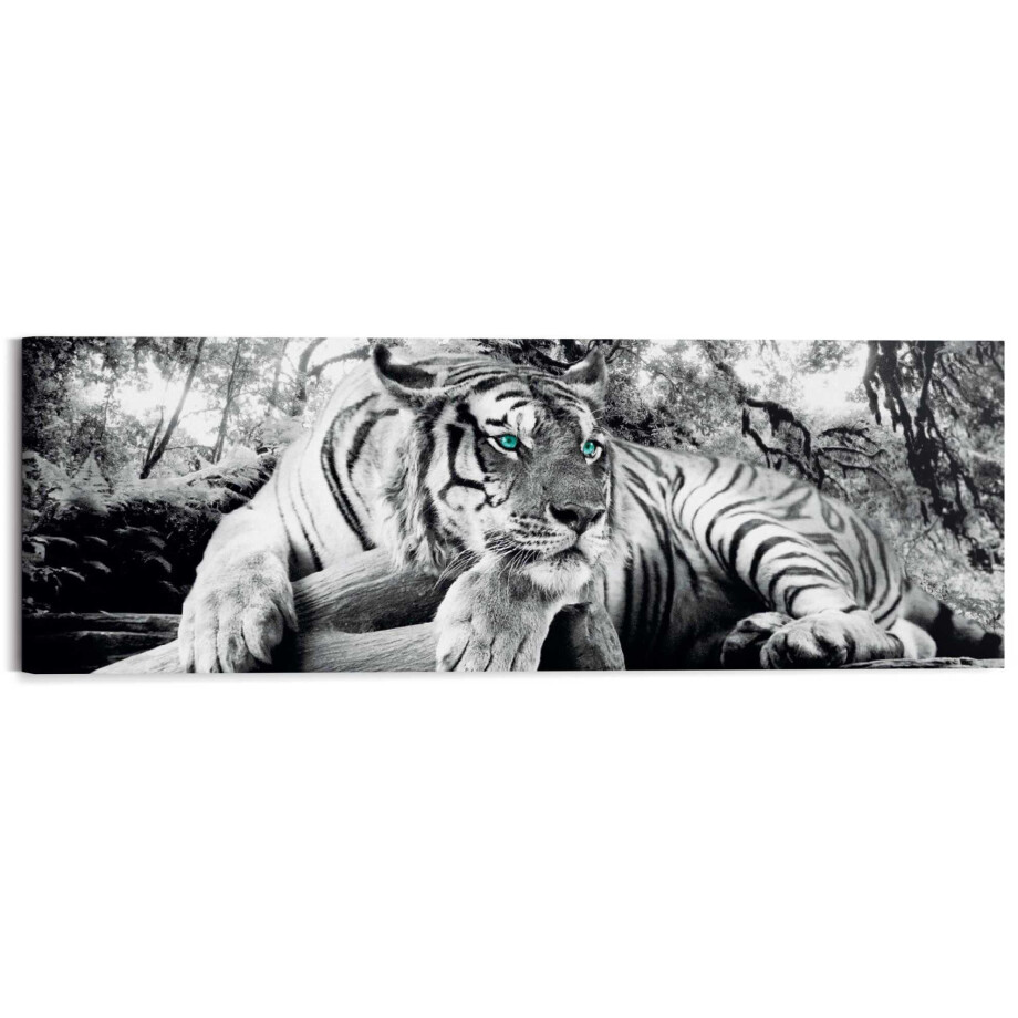 Reinders! Artprint Tijgerblik artprint tijger - roofdier - artprint woonkamer - artprint afbeelding 1