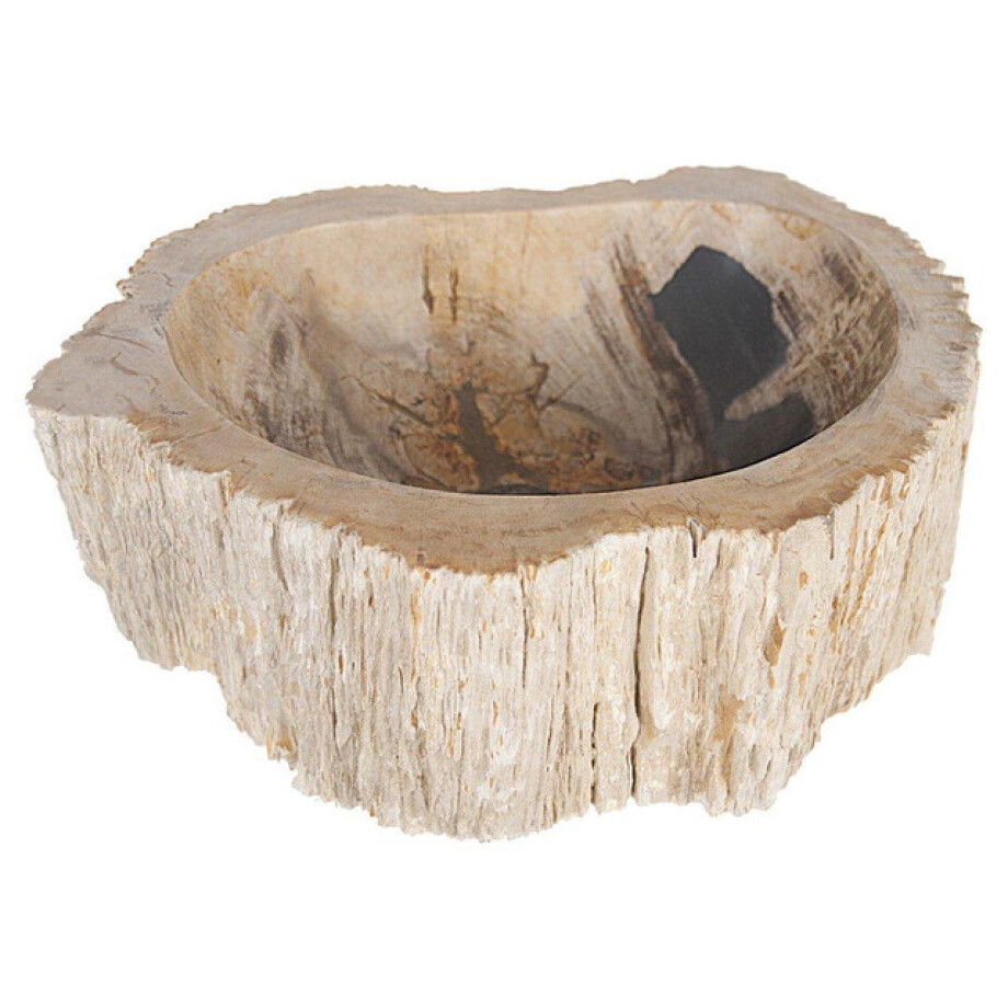 Differnz Fossil waskom 45x12cm hout Créme 36.102.16 afbeelding 1
