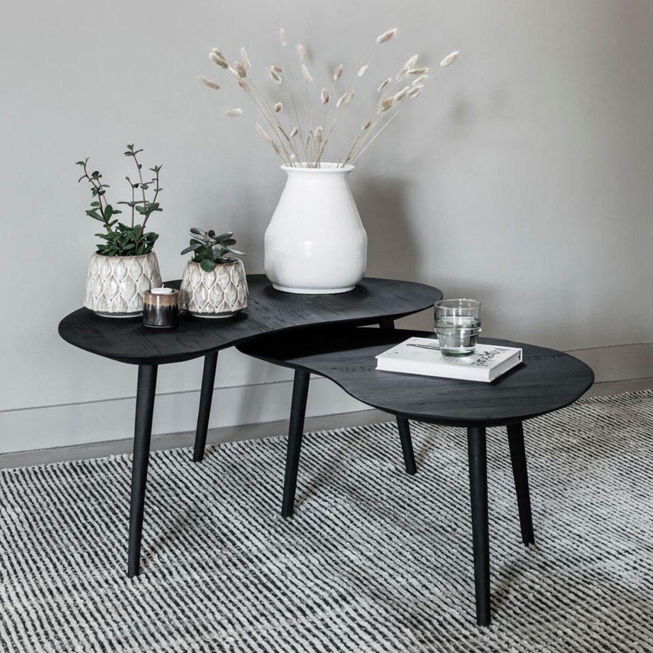 DTP Home Organische Salontafel 'Organus' Teakhout, Set van 2 stuks, kleur Zwart DTP Home Organische Salontafel 'Organus' Teakhout, Set van 2 stuks, kleur Zwart afbeelding 1
