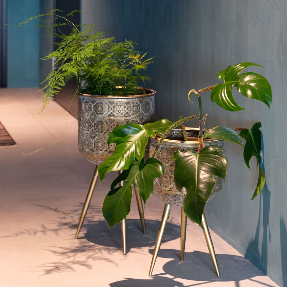 Dutchbone Plantenstandaard 'Botanique' 53cm afbeelding 1