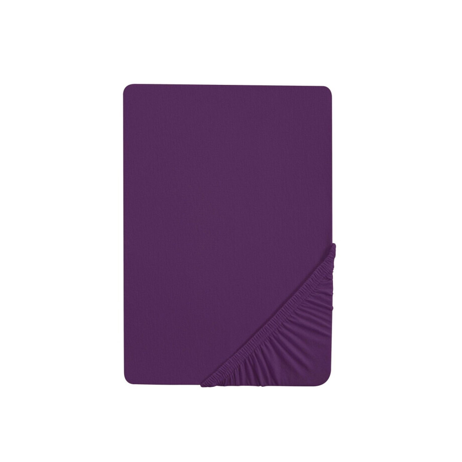 Biberna Jersey hoeslaken (Violet, 180-200 x 200 cm) Biberna Jersey hoeslaken (Violet, 180-200 x 200 cm) afbeelding 1