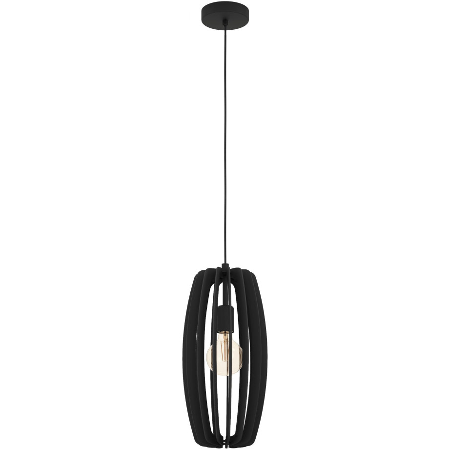 EGLO Hanglamp BAJAZZARA Hanglamp in zwart van staal - excl. E27 - 40W (1 stuk) afbeelding 1