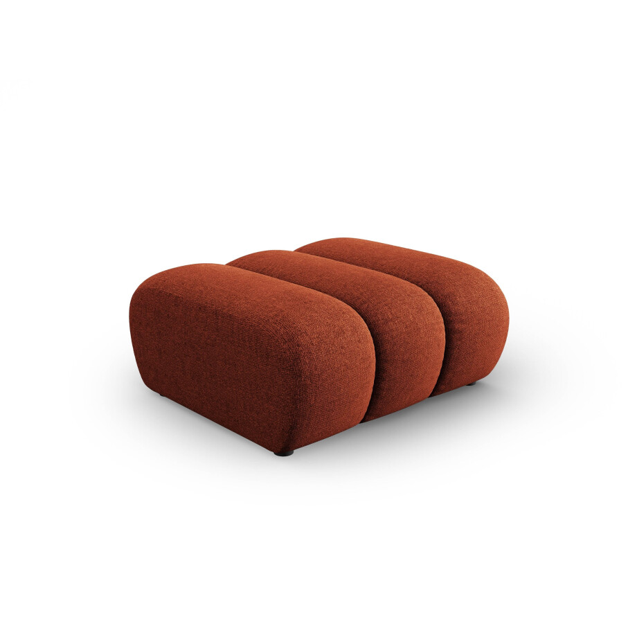Hocker Lupine | Micadoni afbeelding 1