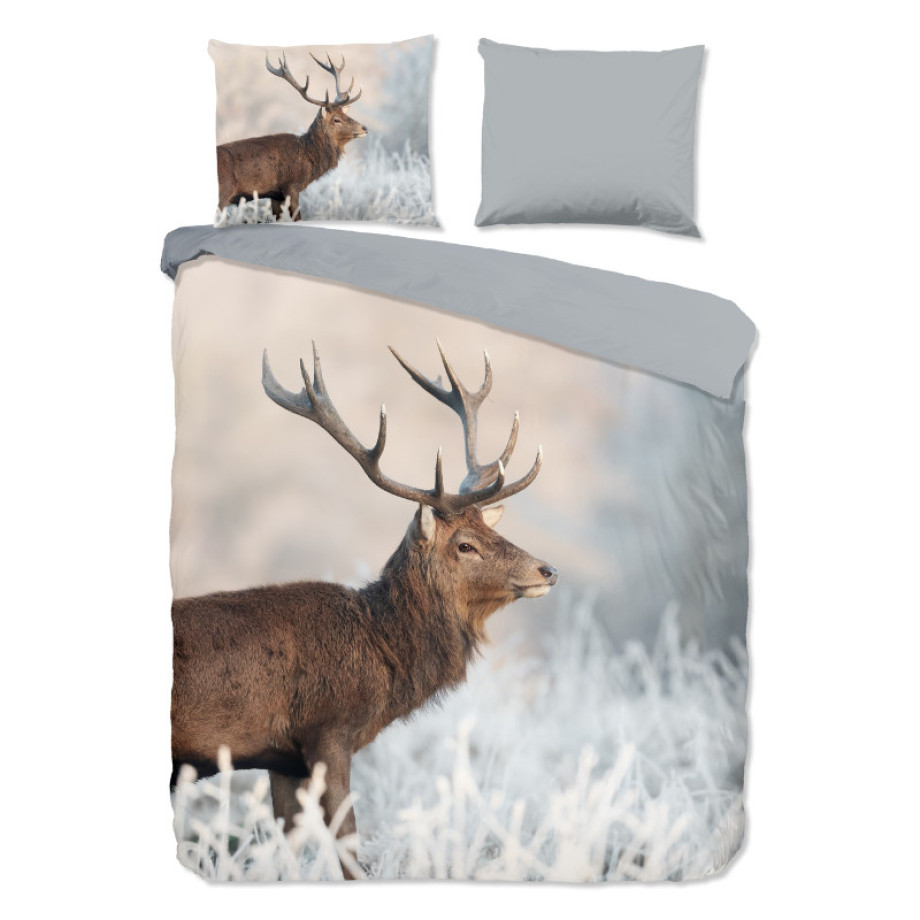 Dekbedovertrek Wess - Lits-Jumeaux (240x220 cm) - Meerkleurig Katoen - Dessin: Dieren - Good Morning - Dekbed-Discounter.nl afbeelding 1