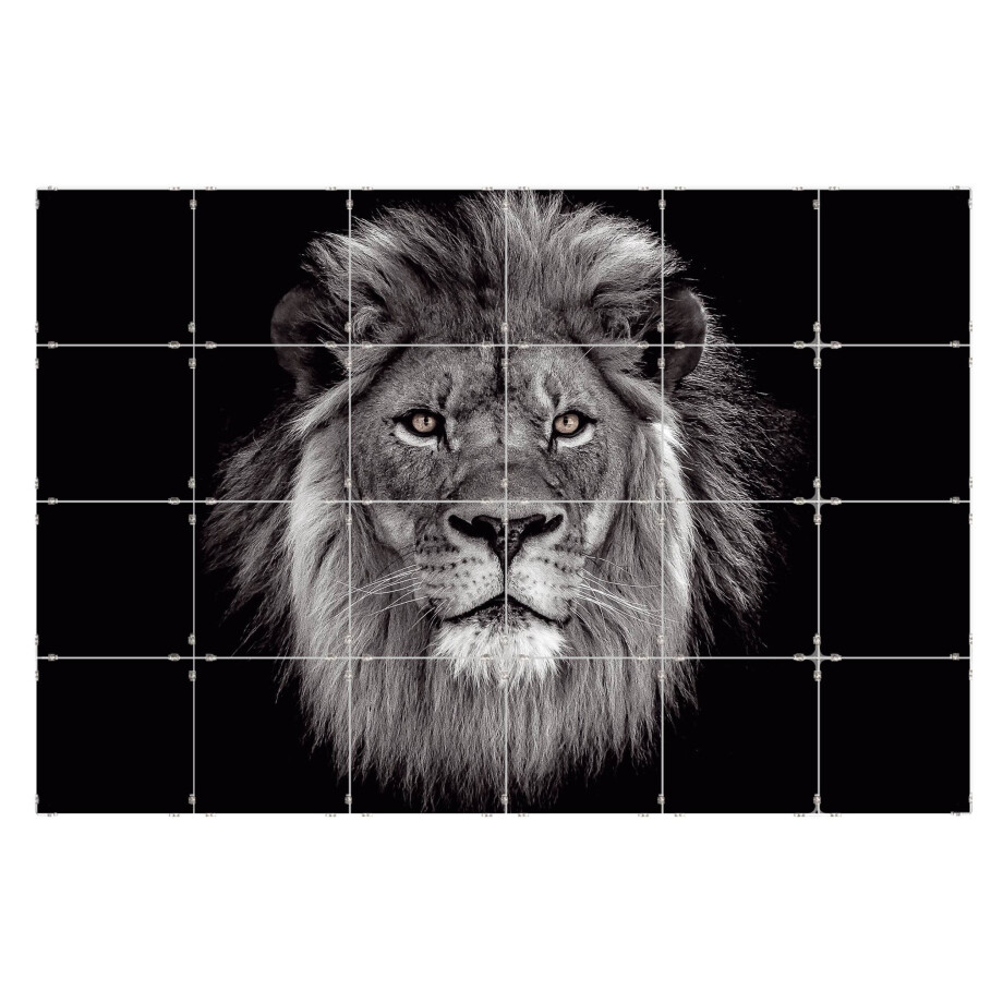 Fototegels Lion kunststof | Orangewallz afbeelding 1
