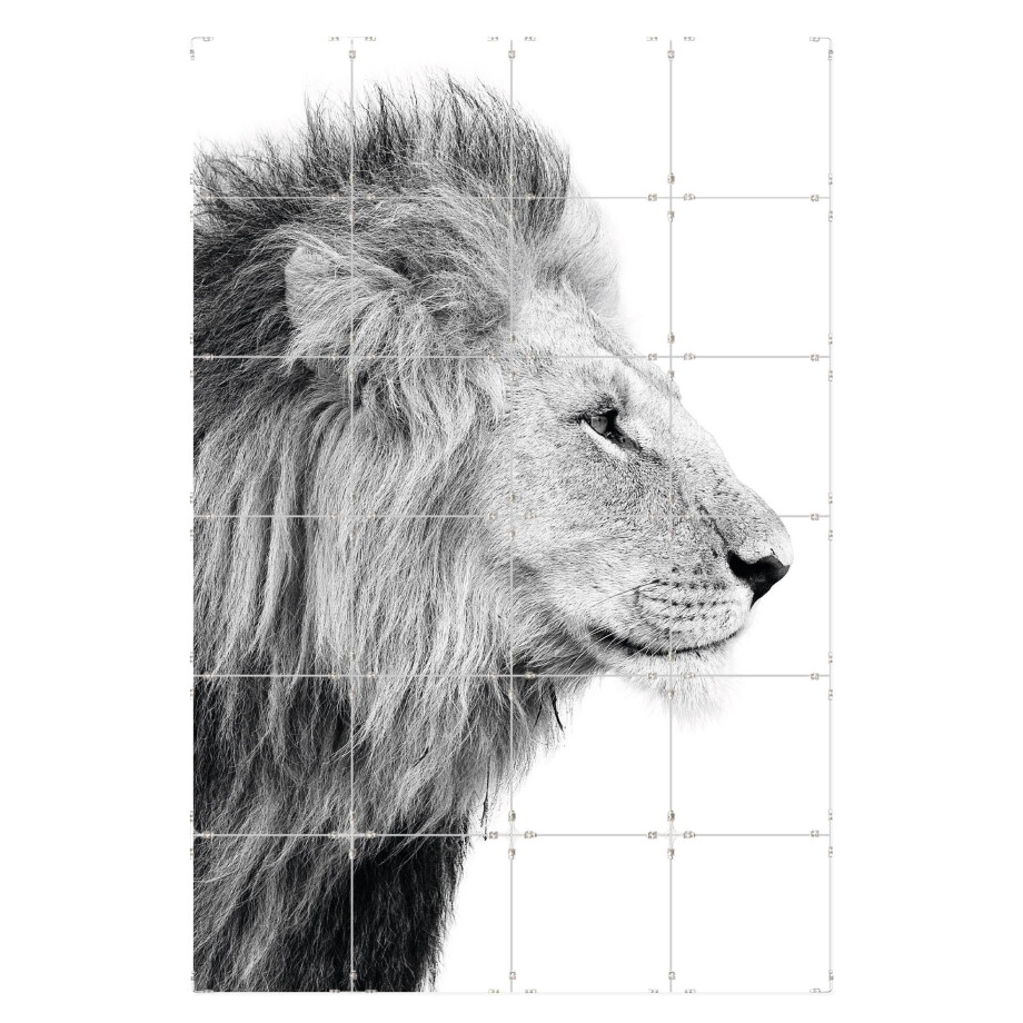 Fototegels Lion Side kunststof | Orangewallz afbeelding 1