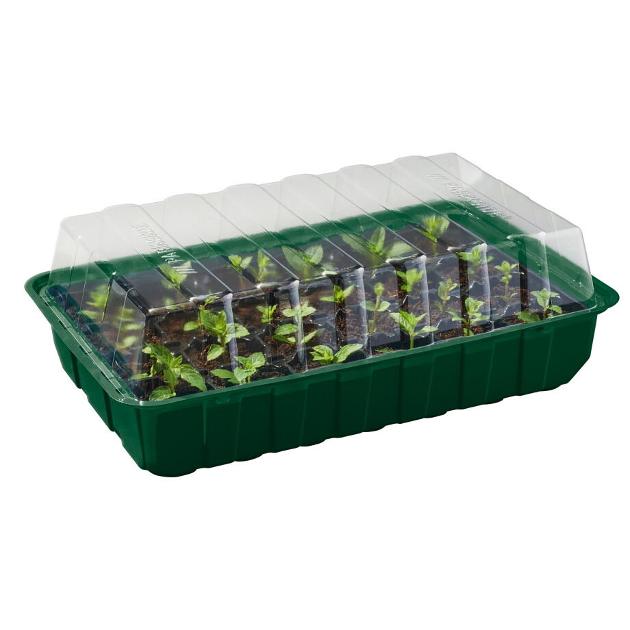 PARKSIDE Kweekset 12-delig PARKSIDE Kweekset 12-delig afbeelding 1